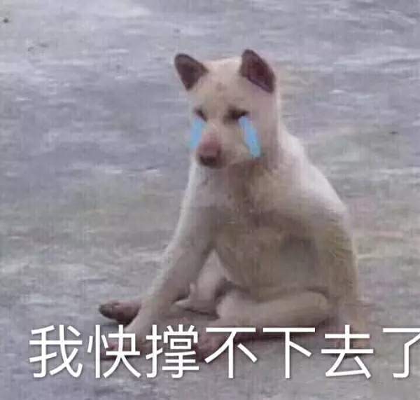 有人愿意和我这坨屎聊天吗