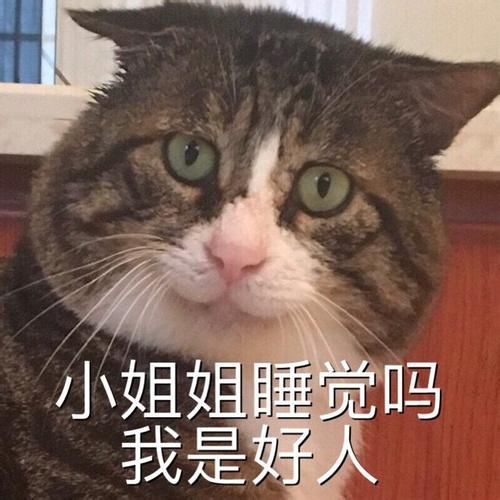知识篇为什么你总是追不到男神
