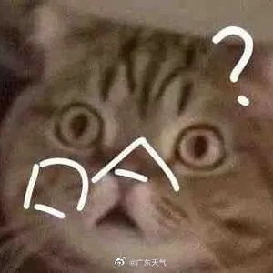 天气会商结束了