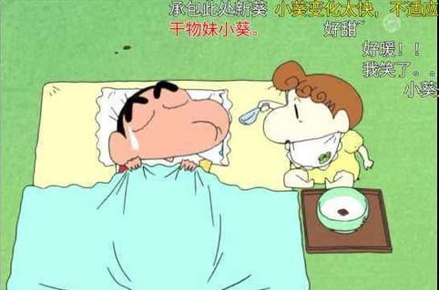 蜡笔小新,小葵为什么会成为野原家最讨人厌角色原因很简单
