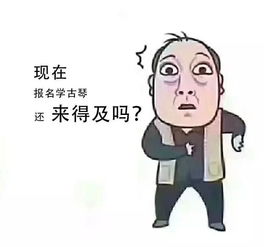 都挺好你还不认识苏大强先来收一套表情包吧