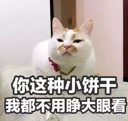 表情包打你就打你,还要选日子吗