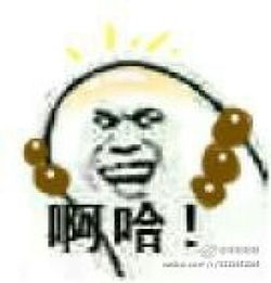 娘子啊哈表情包两只狗娘子啊哈系列的表情图片恶搞腾牛个性网