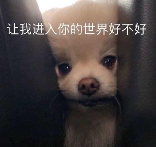 学会立马振山河