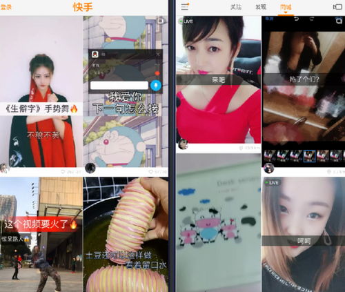 表情gif快手下载gif快手电脑版含模拟器表情