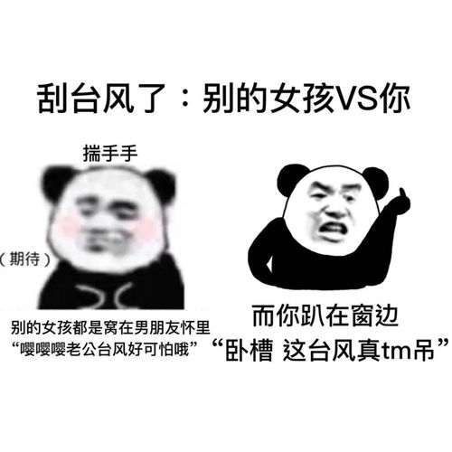 表情包是我不配,打扰了