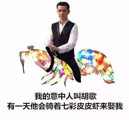 皮皮猪变身记