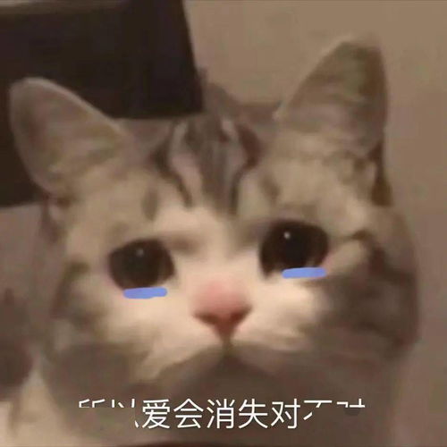 抖音热门表情包丨你别过来我怕狗