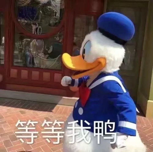 重磅多点发力,孝感明年基本实现村村通快递