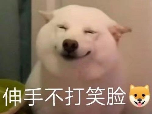 分享公众号运营的小技巧
