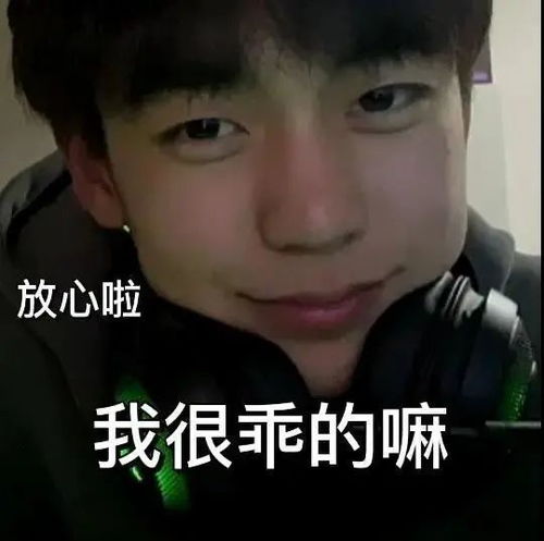 于庆伟系列