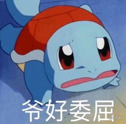 抖音杰尼龟表情包汇总杰尼龟憨憨无水印表情包合集