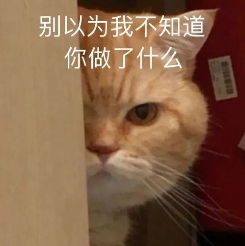 死性不改茶百道又双叒叕被骂上热搜