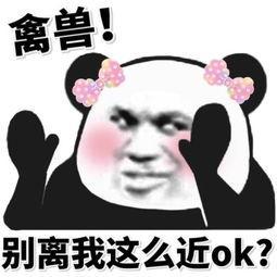 高级怼人的表情包来了在百度上找不到你,搜狗却可以,有点意思