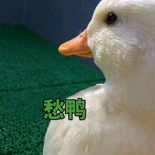 妈妈忘记了一切,但从未忘记爱我