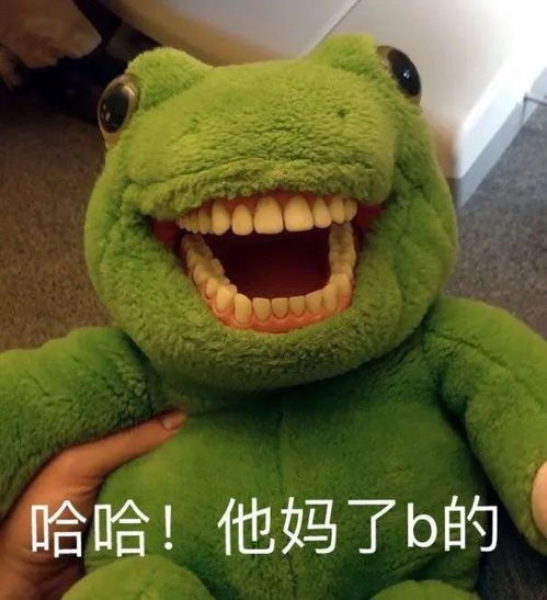 快点说爱我的表情包frog