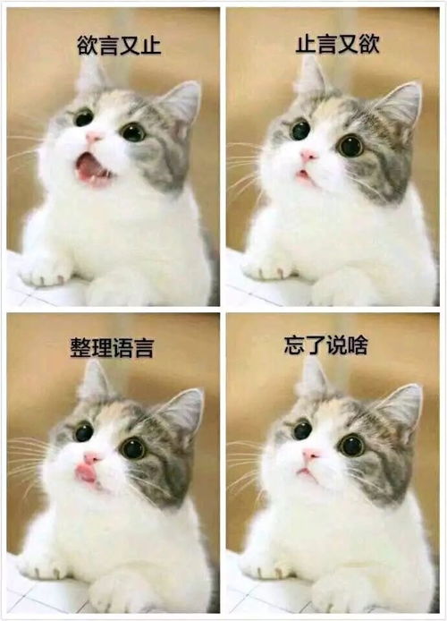 vvv