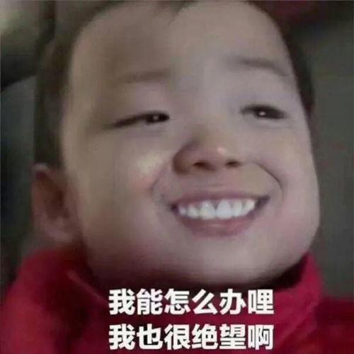 二尖瓣面容表情包表情包