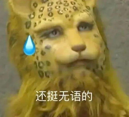 沙雕搞笑表情包i还挺无语的