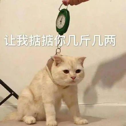 表情包晚来的深情比草都轻贱