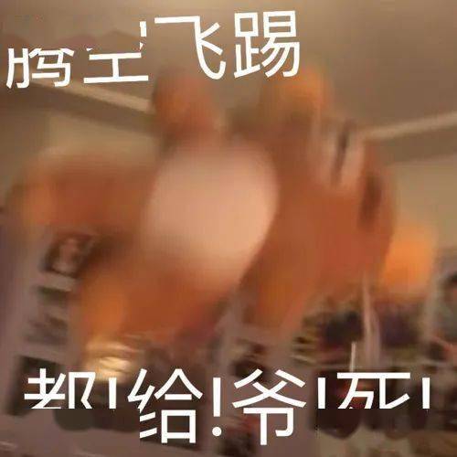 今日表情包我会为自己的可爱负责的