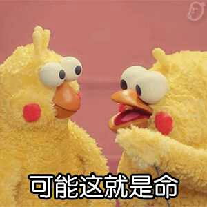 就想要个女儿,注定是遗憾了