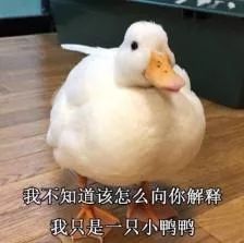 紧急通报未来两小时我市将有大到暴雨,请大家做好准备