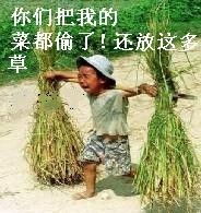 音乐心情吧中秋节晒搞笑图什么的,最讨厌了