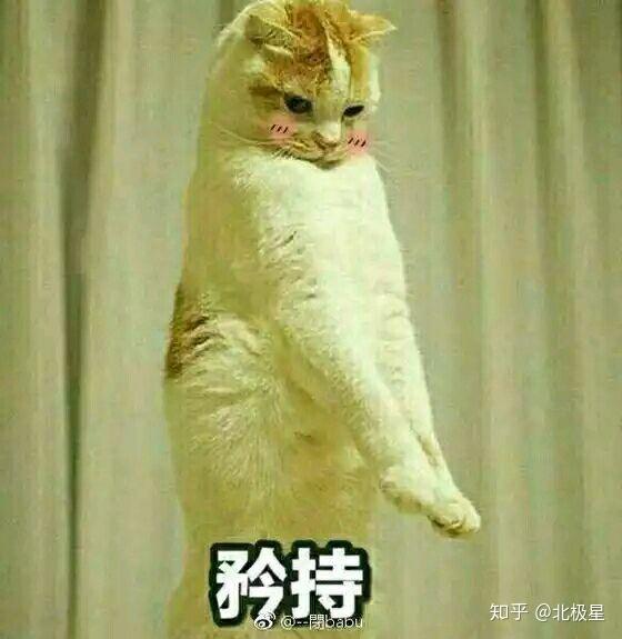 星座和上升星座