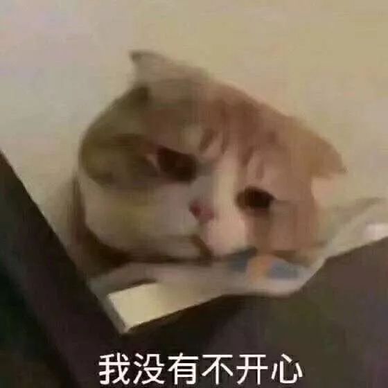 接吻照片情侣表情包沙雕