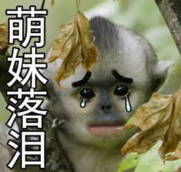 喜欢煲汤的人这5种毒汤料不能乱加分分钟icu见