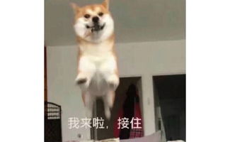 我居然看到了比刘雯腿还要长的人
