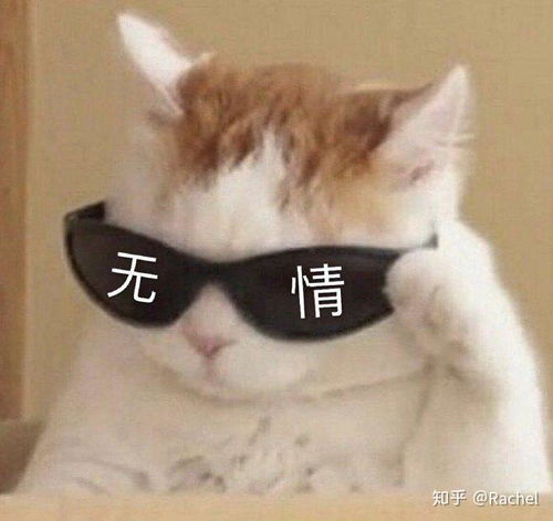 抱大腿图片表情包可爱沙雕