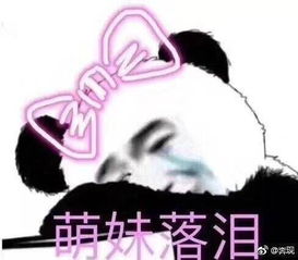 头顶小红花的表情包机动车号牌