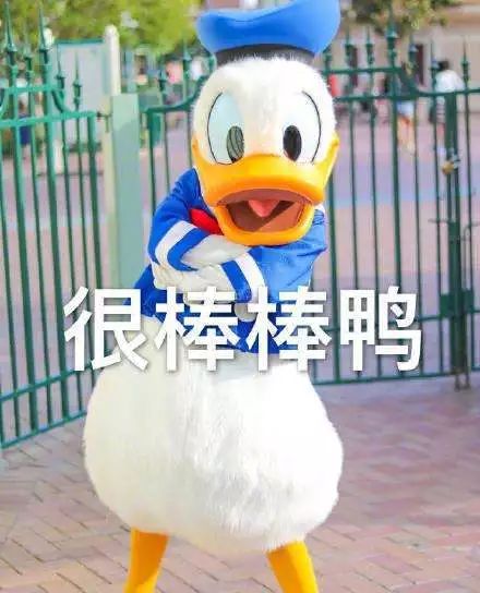 北语首届国际组织人才训练营pick了谁