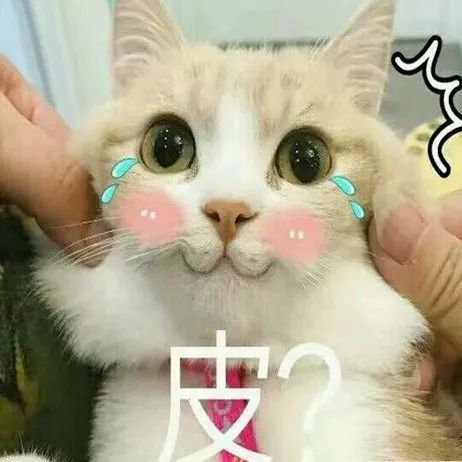 大牌明星被当成路人,还上了央视