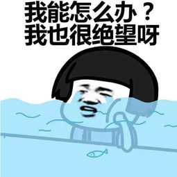 强台风要来了新一轮暴雨下周开启,不仅迅猛且连下半个月