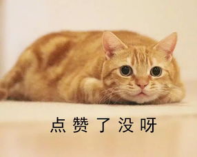 每日一笑,这是一只体操全能选手