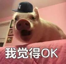 注意聊城史上最难驾考新规根本没这回事执行未满百天,聊城考生合格率全面回升