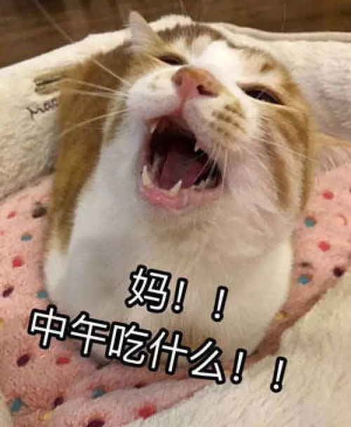 你就站在此地不要走动,我偷一个暑假给你