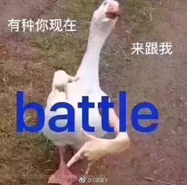 米崽今天也祈求转运的微博微博