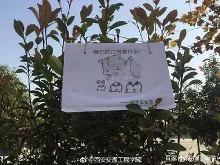 吸烟找不到对象,这所高校的禁烟表情包一夜之间火了