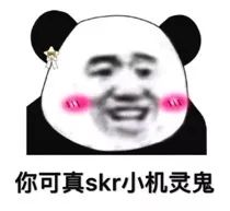 skr,那是个啥