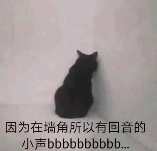 国风水手服便宜白菜的针织衫和背心福袋格裙一起冲咩咩一刀