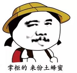 央视记者独家采访神农牧蜂人,探寻纯正土蜂蜜