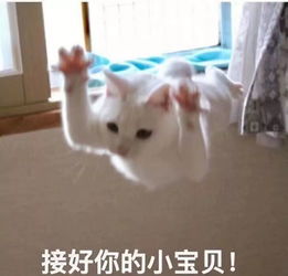 早起签到打卡分奖金这种鸡汤式骗局你见过吗