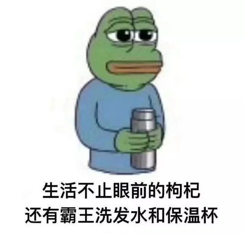 绿色太湖丨这里有一份春节养生计划必看