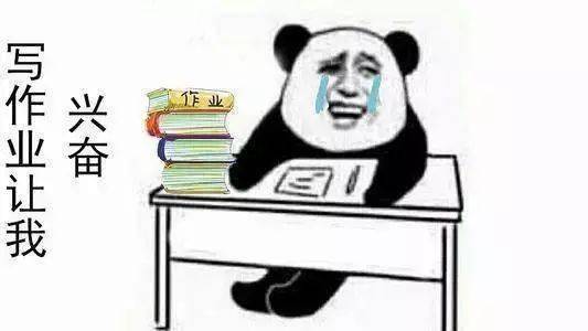 留学生回国不读高职高专,就是摆地摊