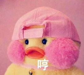 近期微信网红表情包鸭子