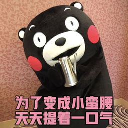 熊本熊表情包,燃烧我的卡路里